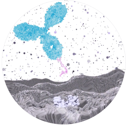 4fbaf12b77ee261dec6edb2a806a192.png (190 KB)